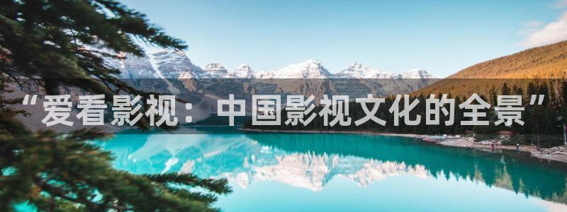 韓國影視劇：“愛看影視：中國影視文化的全景”