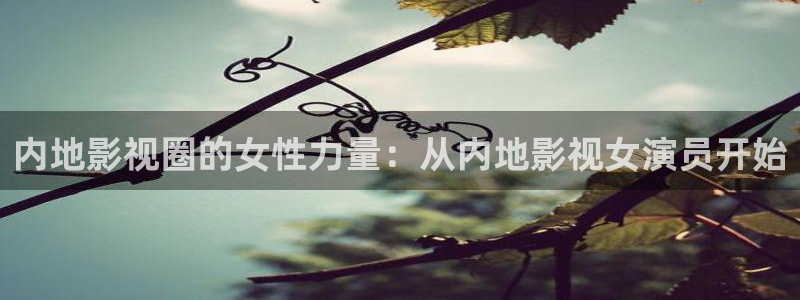 韓國影視在線免費觀看：內地影視圈的女性力量：從內地影視女演員開始